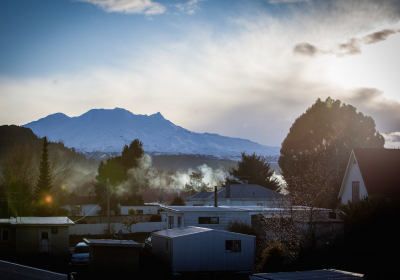 NZTOWN