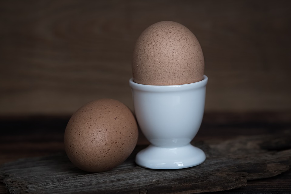 egg-1374141_960_720