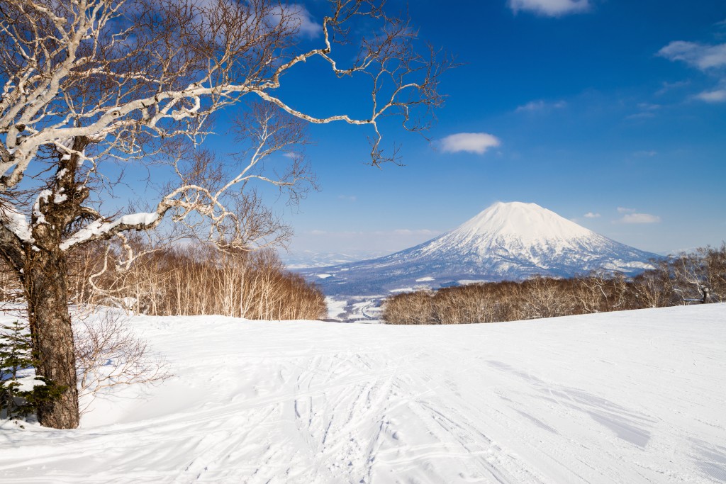shutterstock_538073608