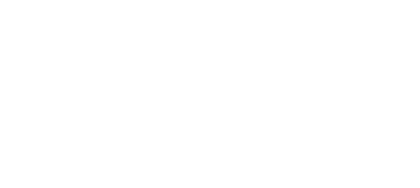 basi logo