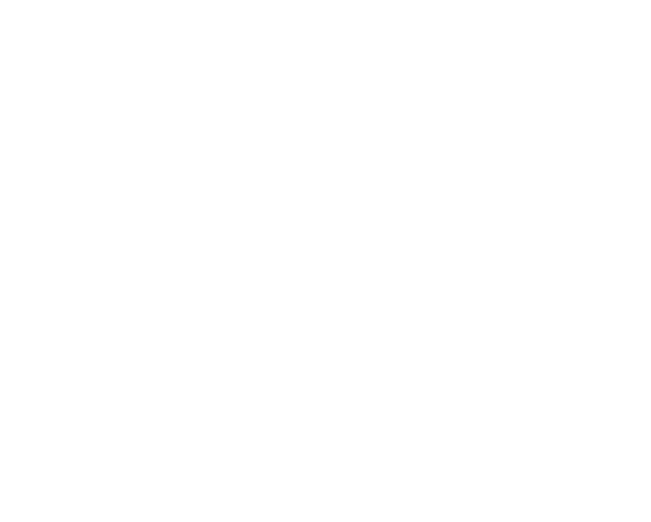 logosalomon-white logo