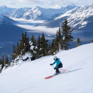 Ski Instructor Courses